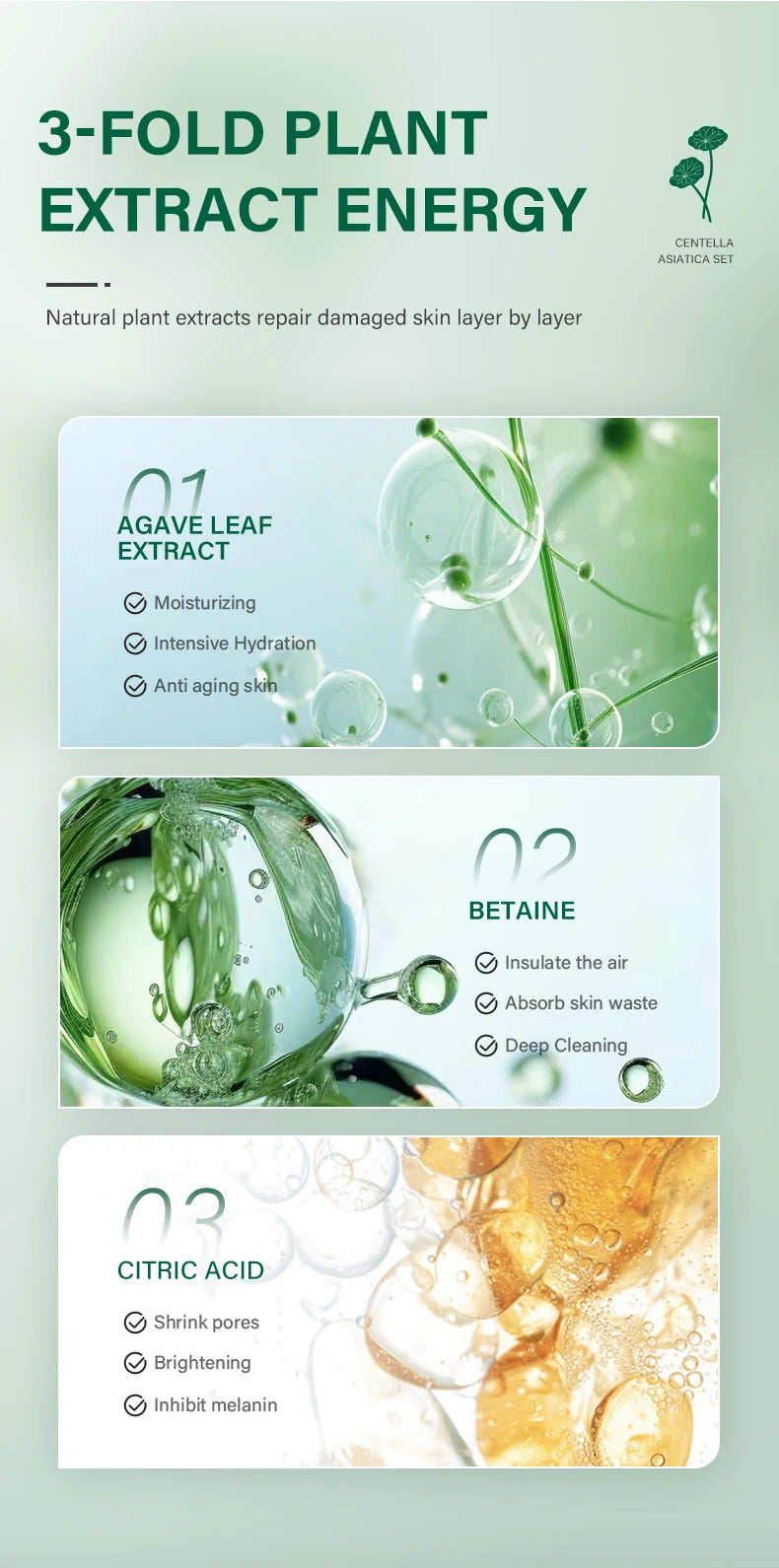 Centella Skin Care Set